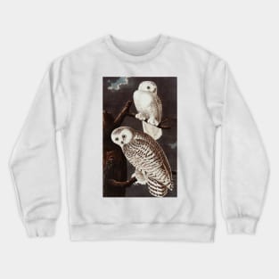 Bird of America  Bird, bird lover, america, beautiful  Public domain painting by John James Audubon Crewneck Sweatshirt